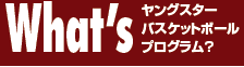 What's ヤングスターバスケットボールプログラム？